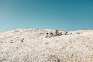 South African Penguins - Open Edition - Felicidad De Lucas Fine Art Photography